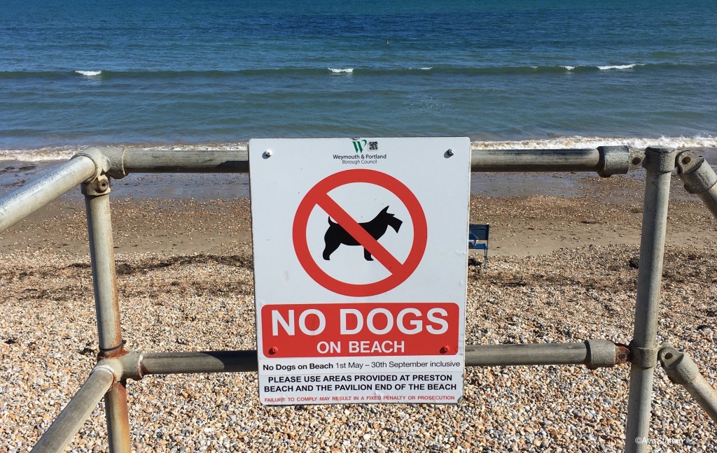 言いたいことが言えない原因