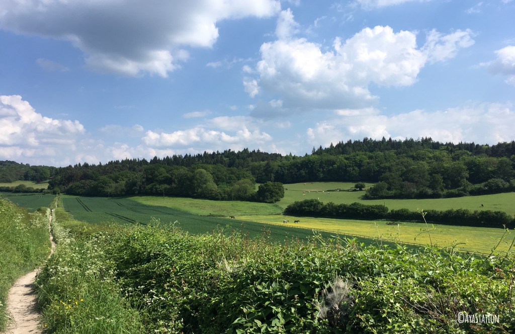 ヨガのメンタル効果―心を落ち着ける呼吸法、不安とうつのしくみについて