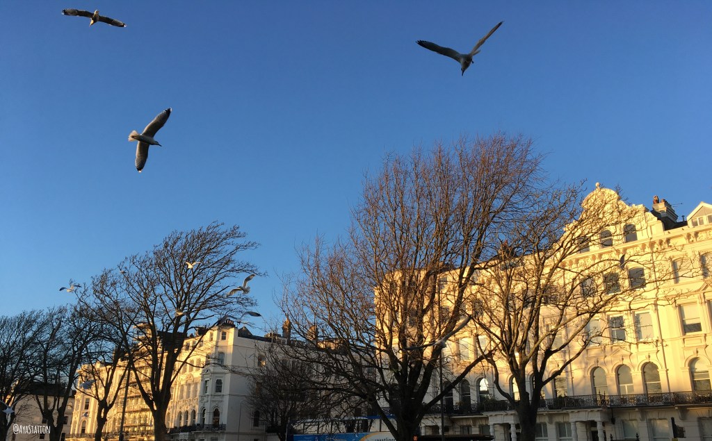 2024年フェーズ３が完了し新しいチャプターへ